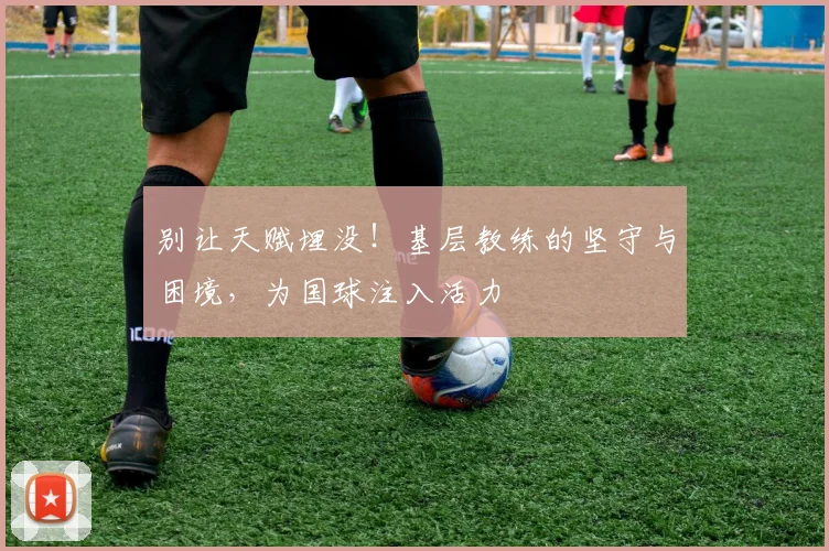 别让天赋埋没!基层教练的坚守与困境,为国球注入活力