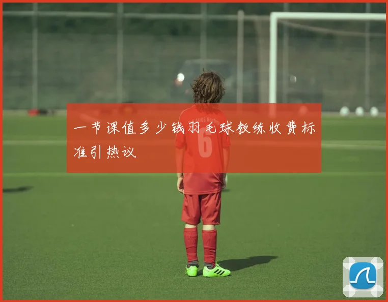 一节课值多少钱羽毛球教练收费标准引热议